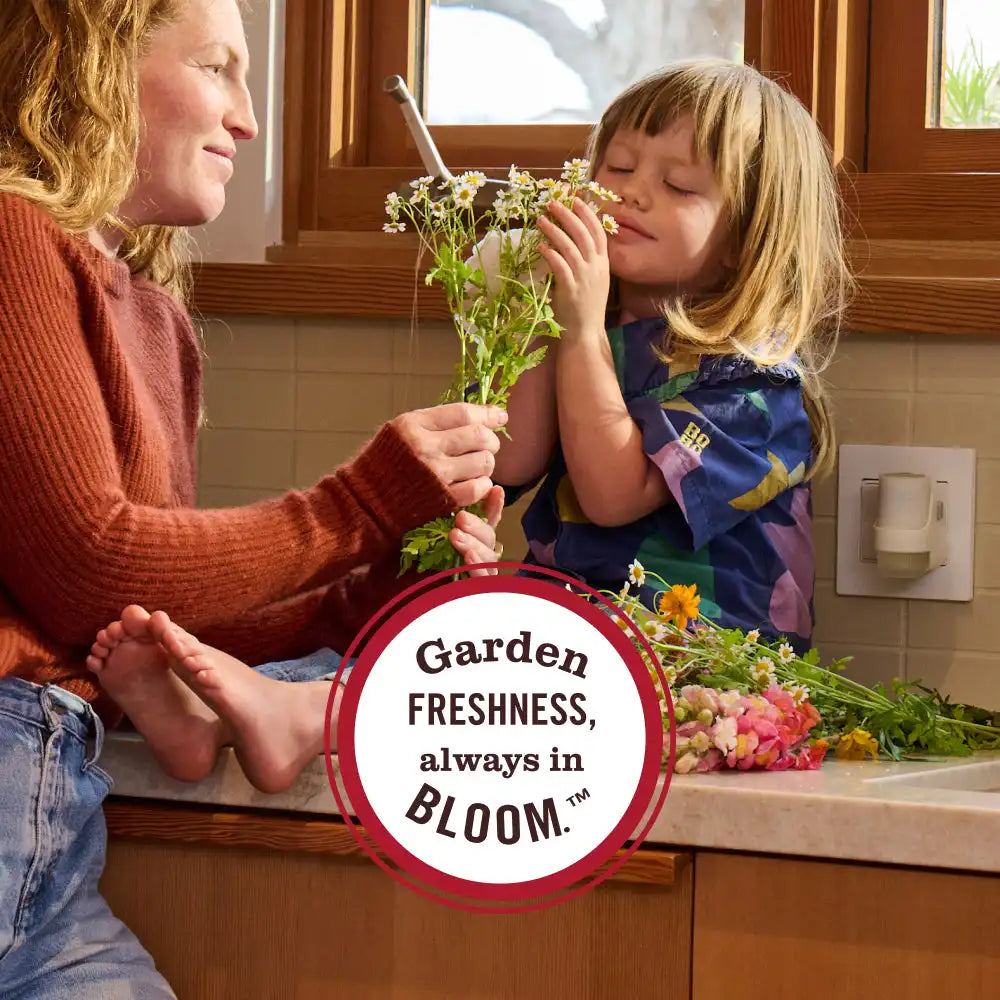 Dandelion Plug In Scented Oil Refill, 2-Pack