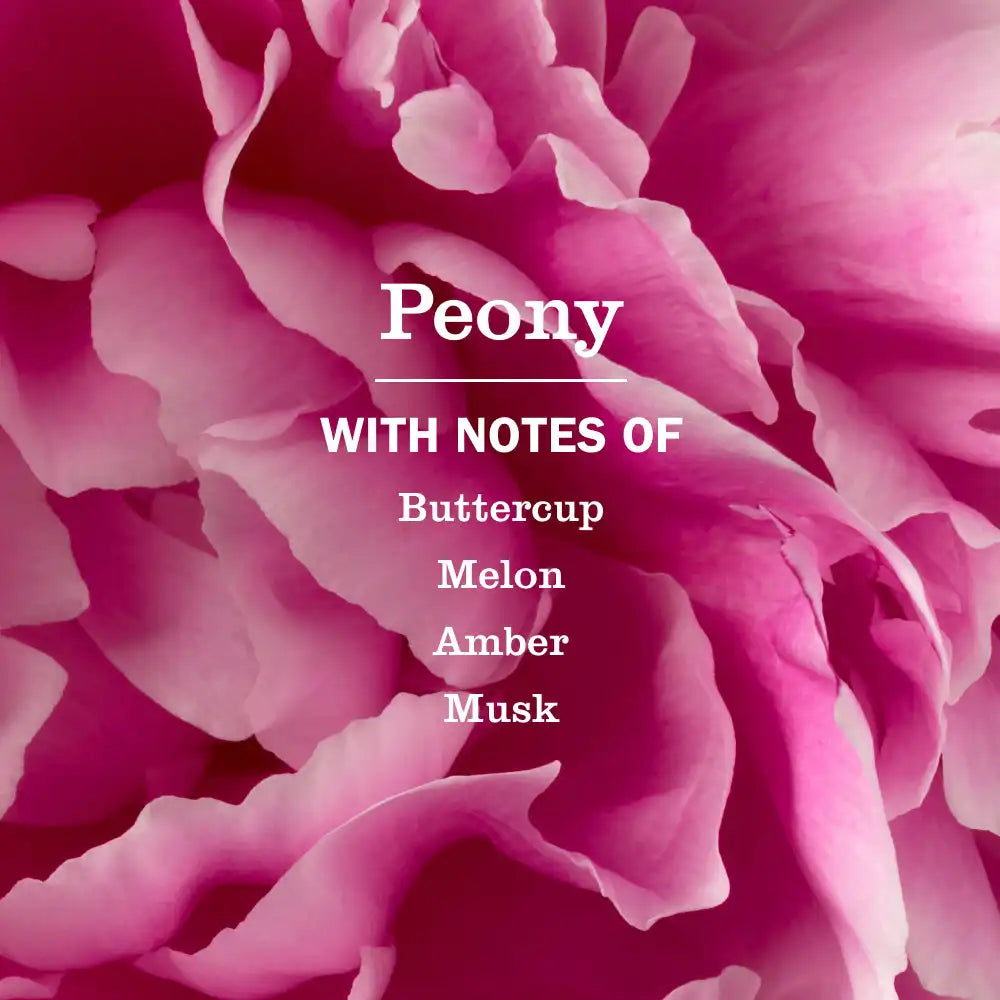 Peony Plug In Scented Oil Refill, 2-Pack