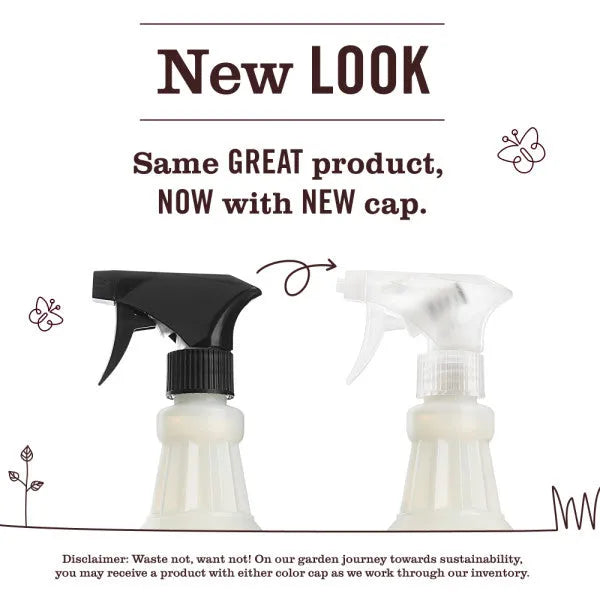 Dewdrop Room Freshener