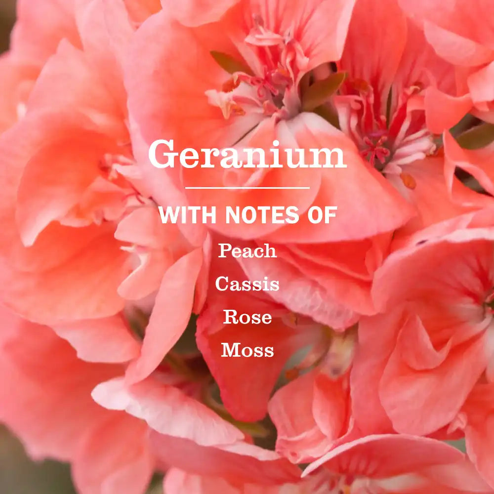 Geranium Room Freshener