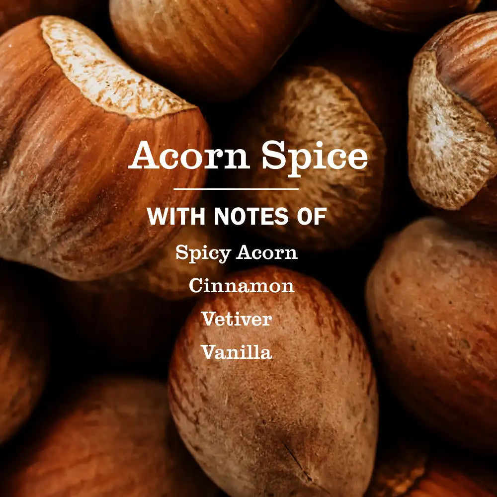 Acorn Spice Multi-Surface Everyday Cleaner 3-count Bundle