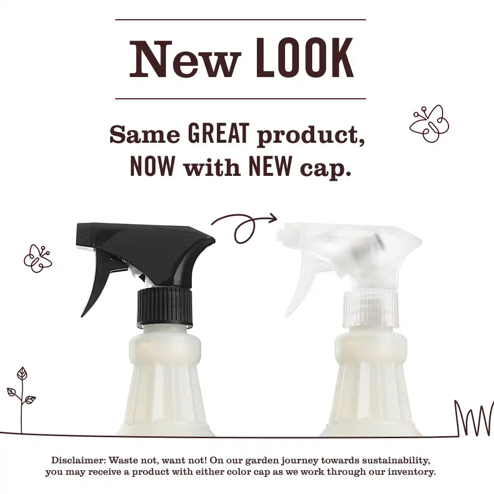 Mint Multi-Surface Everyday Cleaner