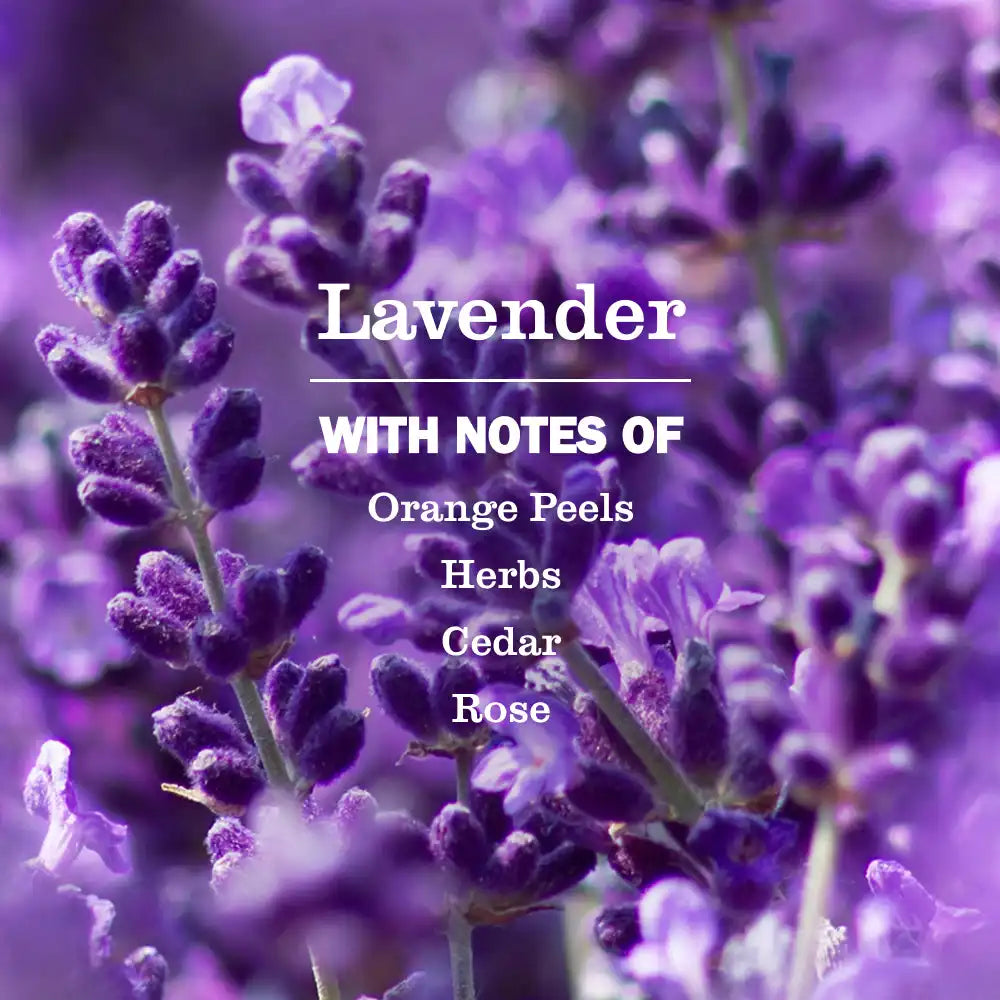 Lavender Liquid Hand Soap Refill