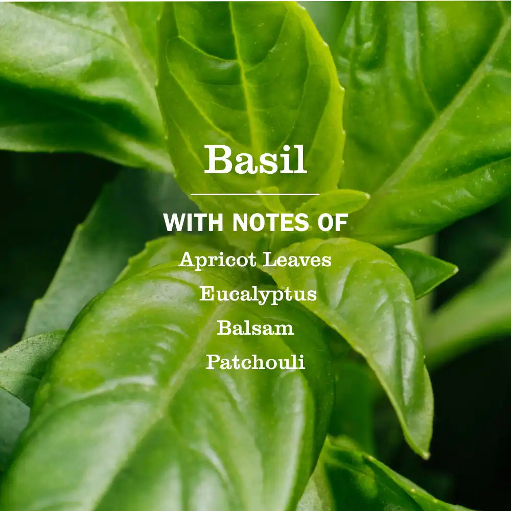 Basil Liquid Hand Soap Refill
