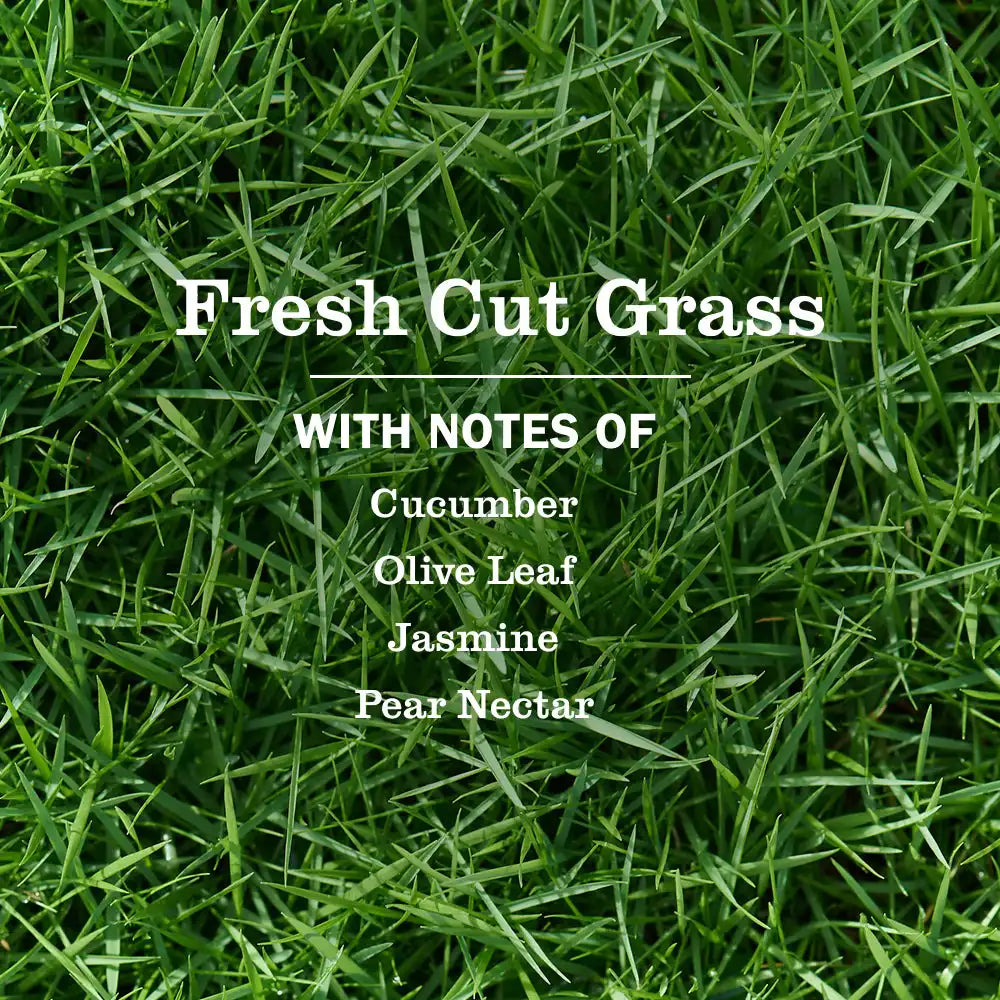 Fresh Cut Grass Multi-Surface Everyday Cleaner