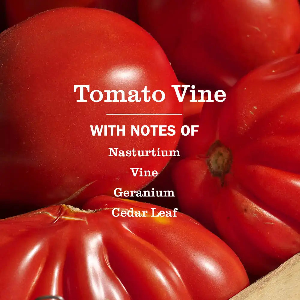 Tomato Vine Liquid Hand Soap