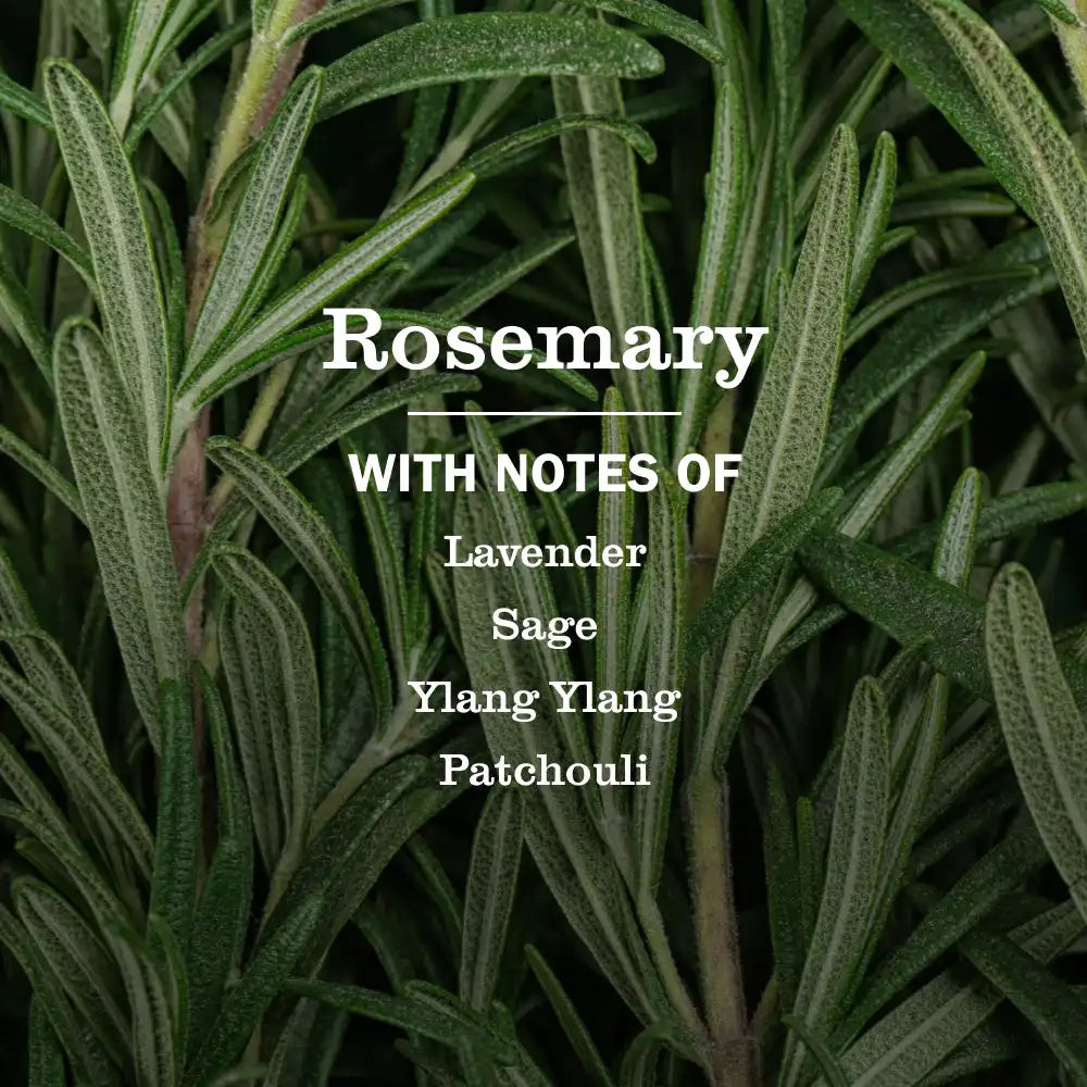 Rosemary Liquid Hand Soap